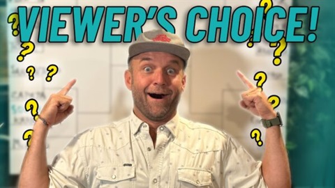 viewers-choice-thumbnail-600x338.jpg